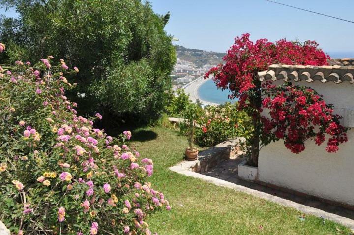 Casa Hortensia La Herradura  Exterior photo